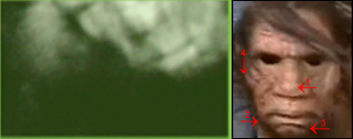 Illustration for article titled Uncovering the Dirty Secrets Behind the Latest Dead Bigfoot Story